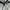 Sportswear Windbreaker Pria gray blue photo 6
