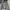 Sportswear Windbreaker Pria gray blue photo 2