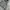Sportswear Windbreaker Pria gray blue photo 3