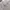 Katharine Hamnett Streetwear Grunge Scarf Pria tan gray photo 2