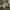 Katharine Hamnett Streetwear Grunge Scarf Pria tan gray photo 1