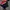 Fila Sportswear Casual Sweater Pria multicolor photo 1