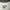 Carhartt Streetwear Casual Sweater Pria white photo 4