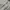 Carhartt Streetwear Casual Sweater Pria white photo 6