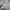 Carhartt Minimalist Casual Sweater Pria gray photo 7
