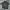 MCM Vintage Casual Formal shirt Pria black photo 1