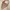 Casual Short Wanita cream photo 3