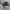 Nike Streetwear Sneakers Pria White Black
