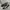 Onitsuka Tiger Streetwear Sneakers Pria white black photo 1