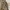 Keith Haring Vintage Casual Parka Pria green photo 5
