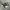 Nike Streetwear Sneakers Pria multicolor photo 1