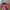 Casual Casual dress Wanita multicolor photo 1