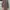 Executive Casual Trench coat Wanita purple photo 3