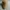 Vintage Streetwear Hat Pria tan photo 1