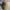 Vintage Streetwear Hat Pria Tan