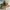 Vintage Streetwear Hat Pria tan photo 2
