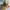 Vintage Streetwear Hat Pria Tan