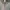 Luxury Evening dress Wanita pink gray photo 6