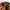 Eiger Vintage Streetwear Hat Pria brown photo 5