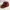 Eiger Vintage Streetwear Hat Pria brown photo 2