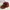 Eiger Vintage Streetwear Hat Pria Brown