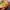 Japanese brand Y2K Casual Wallet Kids red yellow photo 2