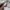 Japanese brand Vintage Indie Tote bag Wanita cream photo 3