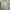 Japanese brand Fairy Coquette Cardigan Wanita white photo 5
