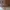 Coach Minimalist Tote bag Wanita brown photo 1