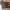 Coach Minimalist Tote Bag Wanita Brown
