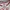 Hysteric Glamour Vintage Streetwear Baju bayi Kids white red photo 2