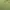 Wolsey Casual Polo shirt Pria green photo 4