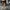 Luxury Minimalist Trench coat Wanita tan photo 2