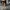 Luxury Minimalist Trench Coat Wanita Tan