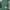 Biker Casual Shoulder bag Wanita green photo 1