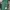 Biker Casual Shoulder Bag Wanita Green