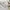Universal Studios Vintage Y2K Hoody Pria white photo 5