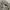 Levi's Casual Casual pants Pria cream photo 5