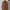 Japanese brand Vintage Indie Vest Pria tan brown photo 1