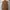 Japanese brand Vintage Indie Vest Pria tan brown photo 2