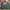 Casual Reworked Bomber jacket Pria multicolor green photo 1