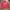 H&M Casual Reworked Sweater Pria white red photo 1