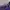 Gildan Minimalist T-shirt Pria purple photo 3