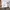 Armani	 Luxury Casual Denim jacket Pria white photo 8