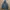 Gorpcore Windbreaker Pria gray photo 3