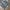 Japanese brand Vintage Y2K Flare pants Wanita blue photo 5