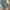 Japanese brand Vintage Y2K Flare pants Wanita blue photo 4