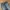 Japanese brand Vintage Y2K Flare pants Wanita blue photo 2