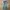 Japanese Brand Vintage Y2K Flare Pants Wanita Blue