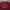 Timberland Vintage Y2K T-shirt Pria burgundy photo 2